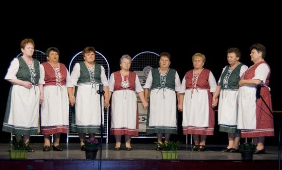VII. Vass Lajos Népzenei Verseny - Döntő, 2008.